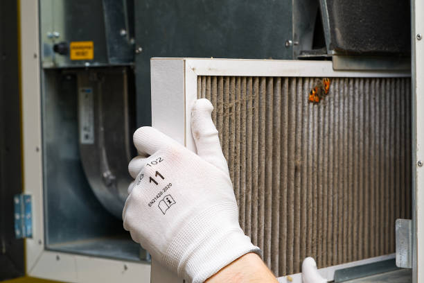 Best Ductwork Cleaning Services  in Chinchilla, PA
