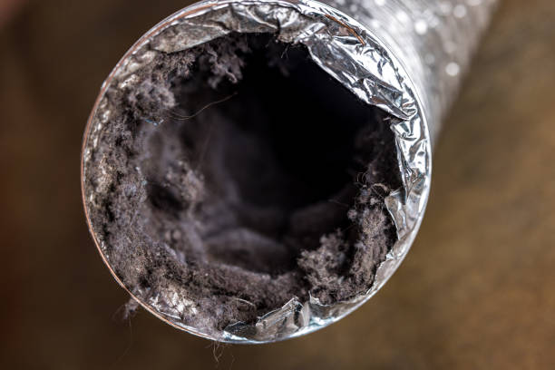Best HVAC Duct Inspection Services  in Chinchilla, PA
