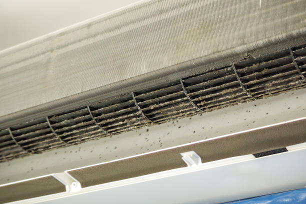 Best Duct Cleaning for Offices  in Chinchilla, PA
